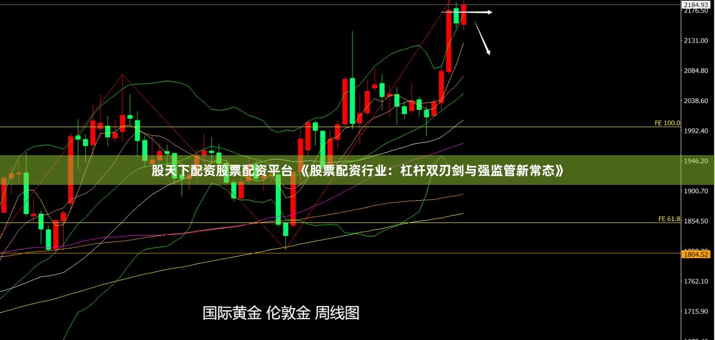股天下配资股票配资平台 《股票配资行业:杠杆双刃剑与强监管新常态》